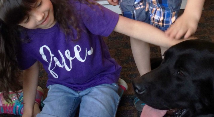 Image showcasing Therapy dogs lower anxiety for victims | Royal Canadian Mounted Police