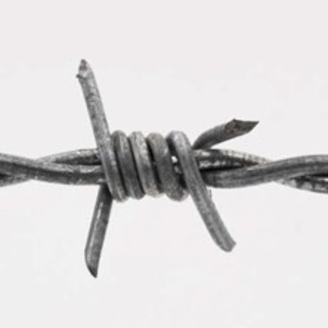 Figure depicting a close up of a barbed wire barb