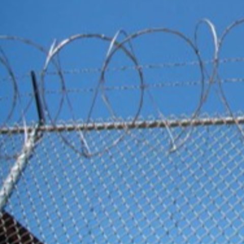 Figure depicts concertina wire wrapped in spiral shapes