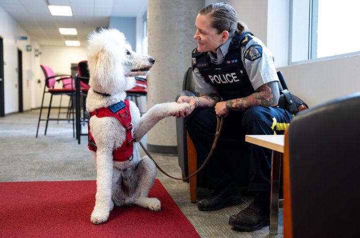 A white poodle wearing a red service-dog vest sits on a red carpet and places a paw on the hand of a uniformed RCMP officer in a hallway.