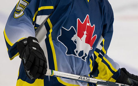 A blue, yellow, white, and red RCMP hockey jersey and gloved hands holding a hockey stick.
