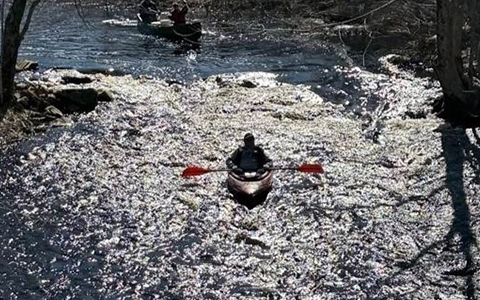 A kayaker and 2 canoeists paddle down a river.