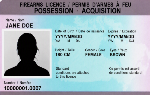 Sample of the front of the old Possession and Acquisition Licence card which includes the holder's information and photo.