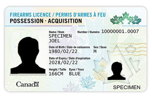 Sample of the front of the new Possession and Acquisition Licence card which includes the holder's information and photo and maple leaf graphics.