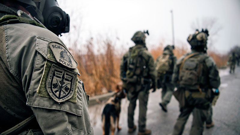 Four officers in tactical gear and police dog walking away from camera.