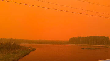 A dark orange glow is cast over a body of water and a growth of trees.