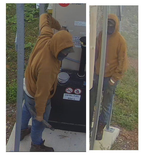RCMP seeking public’s help following theft | Royal Canadian Mounted Police