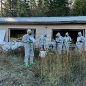RCMP officers in illicit drug superlab