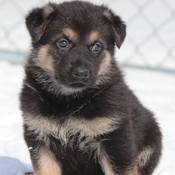 Participants are asked to send names that start with the letter “A”.