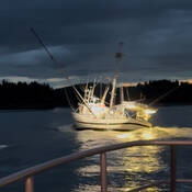 The fishing boat on the water at night lit brightly by the spotlight from RCMP Patrol Vessel Inkster after the fishing boat allegedly failed to stop for police
