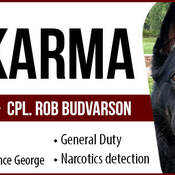 Police Service Dog - Karma