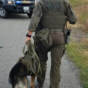 Photo of RCMP dog handler and dog walking on road