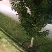 A white car is driving on the road. Travelling from left to right on the screen.