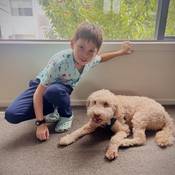 Missing 11-year-old Kai Pavlovic