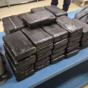 Cocaine seized