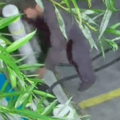 Photo of the suspect at an EV charging station