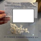 A sealed police evidence bag containing multiple individual baggies of suspected cocaine