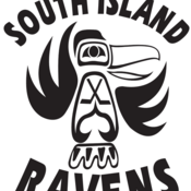 Ravens team logo