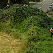 Photo of U.S. Customs and Border Protection vehicle parked on Northwoods Road. Three people crossing illegally, being pursued by a US Customs and Border Protection officer.