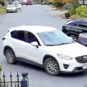 Suspect vehicle, possibly a white 2017 Mazda CX5