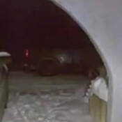 Backend of suspect truck