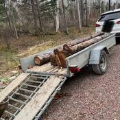 An aluminum utility trailer - with its ramp down - is attached to a white SUV. The hatch of the SUV is closed and wooden logs are in the trailer;