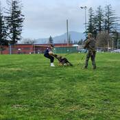 Police Dog Services demonstration
