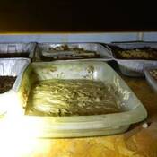 Photo of trays of suspected fentanyl.