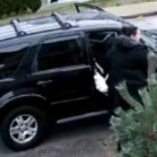 Burnaby RCMP is seeking public assistance in identifying three suspects involved in a package theft that occurred on December 1, 2025.