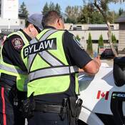 Two bylaw officers write a ticket on the hood of a police vehicle.