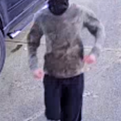 Photo of the suspect running up to the house