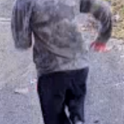 Photo of the suspect running away from the house