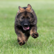 Participants are asked to send names that start with the letter "B".