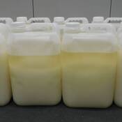 Jugs containing methamphetamine seized during the investigation.