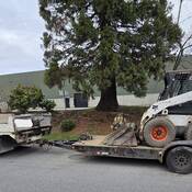 A small dump truck towing a bobcat on a trailer is parked on the side of the road.