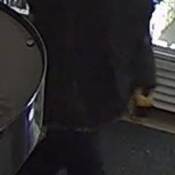 File 2026-337969 – March 15, 2026