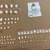 Seized drugs