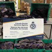 A large quantity of sealed cocaine packages displayed in green totes with a CBSA poster. The drugs were seized by Canada Border Services Agency officers in Halifax, NS in March 2026.