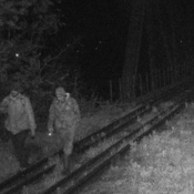 Suspects