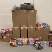 RCMP Southeast Traffic Services seized a quantity of illegal cannabis and unstamped tobacco and charged the driver following a traffic stop near Goffs.