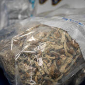 Fifteen people have been arrested so far and more than 10 kilograms of illicit drugs seized as part of an ongoing police investigation into a drug and weapons trafficking network operating in several southern Manitoba communities.