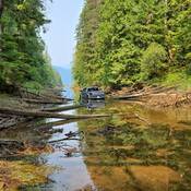 Photo of a grey pickup truck in a creek surrounded by trees.
