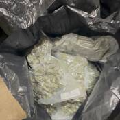 Dried cannabis inside one of the seized black bags