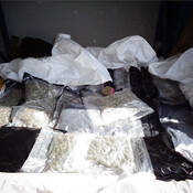 Officers seized significant amounts of illicit cannabis and cannabis byproducts.