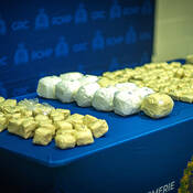 A portion of the drugs seized during the 2024 operation.