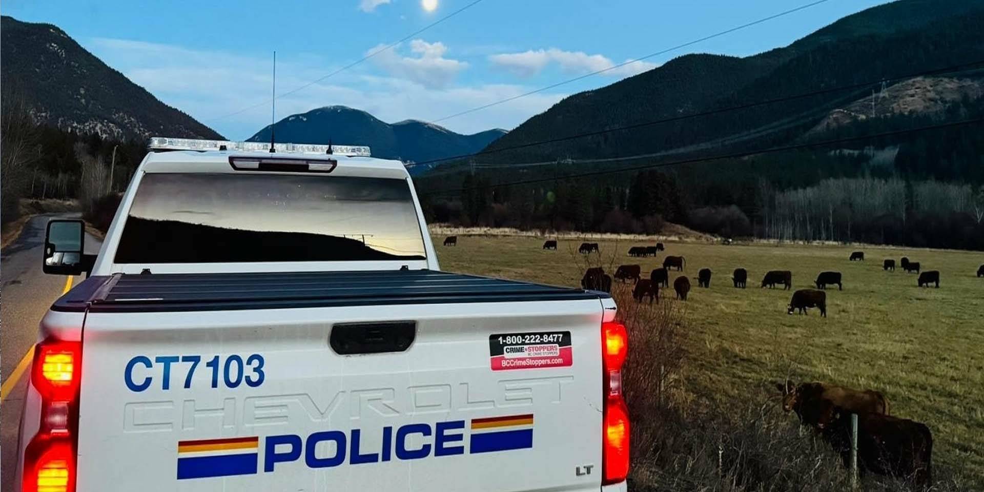 RCMP truck overlooking mountains