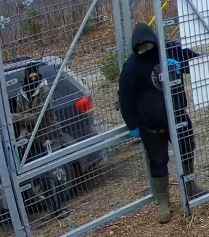 Surveillance images of three suspects and black Dodge Journey in Four Falls, New Brunswick