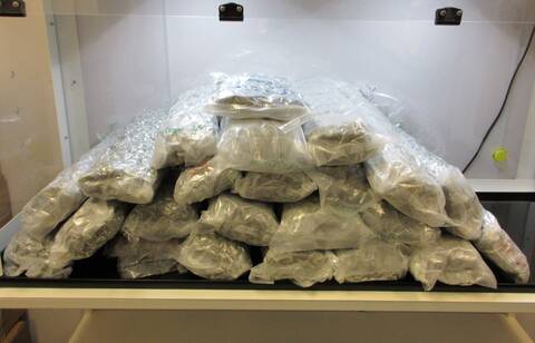 Cannabis is stuffed into clear plastic bags and sitting on a table after it was seized by authorities.