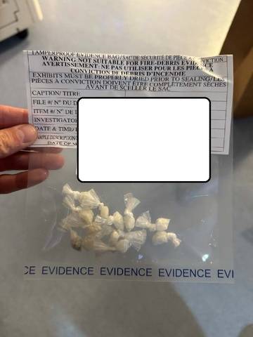 A sealed police evidence bag containing multiple individual baggies of suspected cocaine