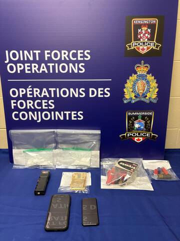 photo of drugs and illegal weapon seized in East Bideford